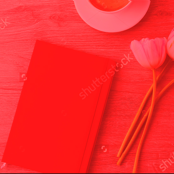 portfolio box cover